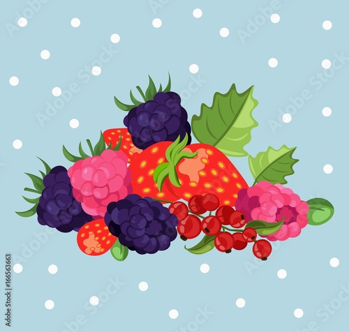 Blackberries background Vector illustration card template