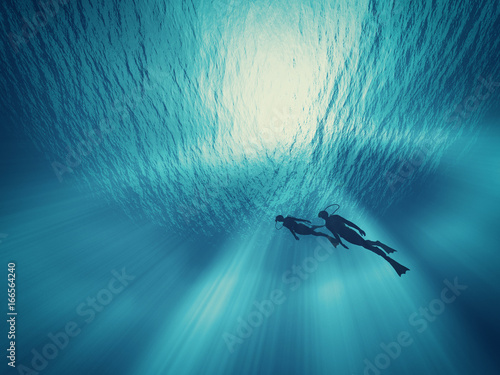 Dives swim under wate photo