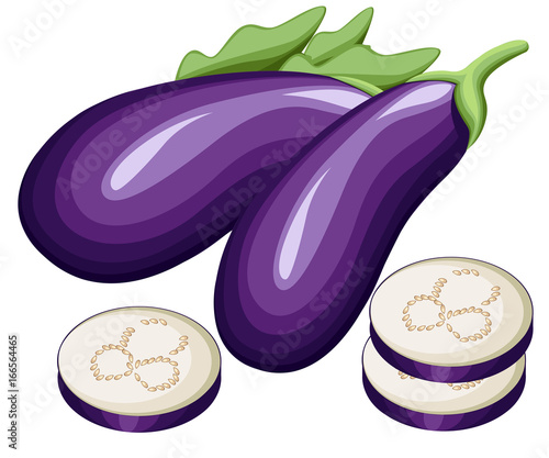 Eggplant, or guinea squash aubergine with leaves on a white background Web site page and mobile app design