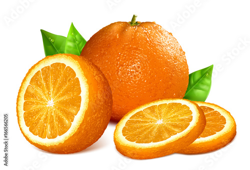 Oranges. Whole, cut and slice Vector illustration.