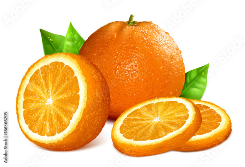 Oranges. Whole  cut and slice Vector illustration.