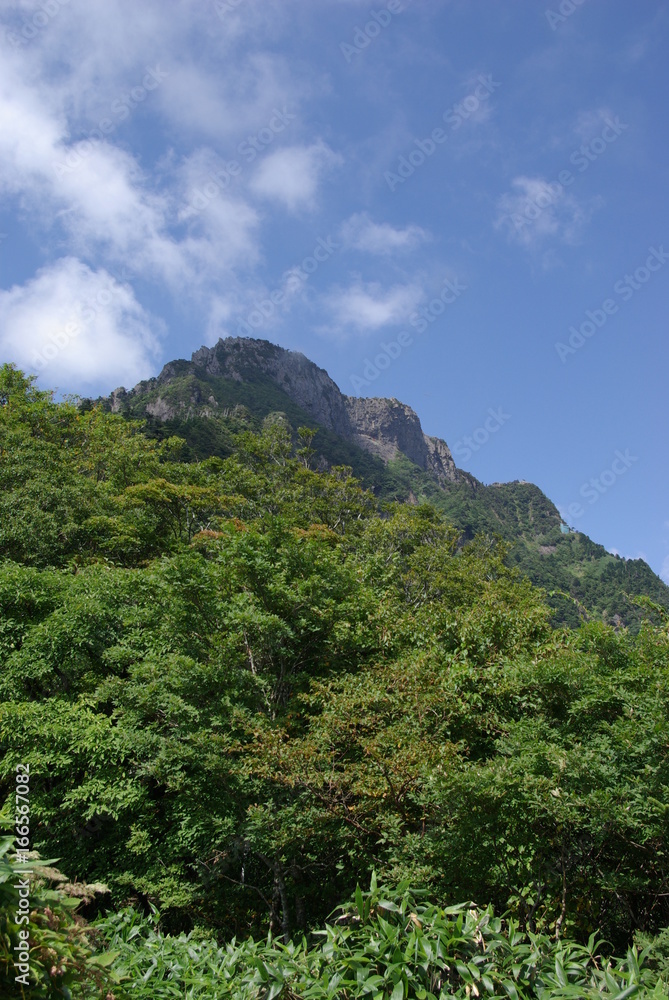 Naklejka premium 夏の石鎚山