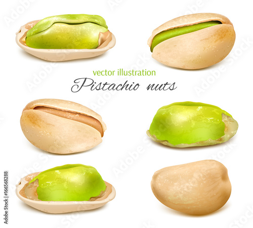 Pistachio. Whole nuts and kernels. Collection. Vector