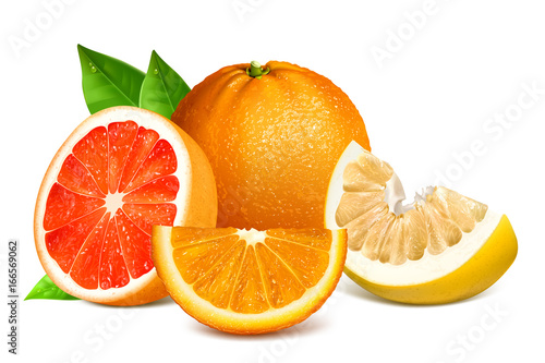 Fresh citrus fruits with leaves. Fully editable handmade mesh.