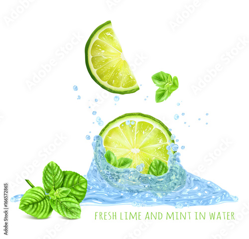Fresh mint and limes in water splash. Vector illustration.