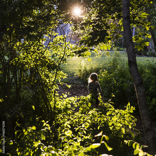 USA, Trenton, Maine. A little girl runs through the bushes while the sun is setting behind her. photo