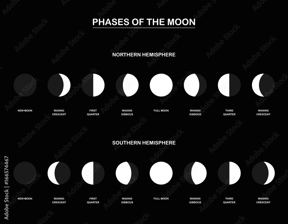Naklejka premium Lunar phases - chart with the contrary phases of the moon observed from the northern and southern hemisphere of planet earth. Vector illustration on black background.