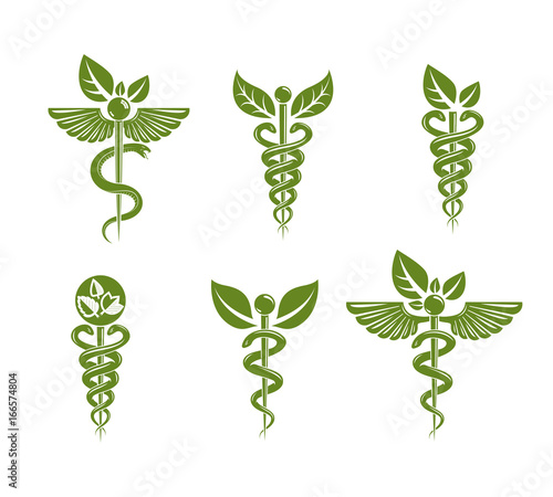Collection of Caduceus illustrations composed with poisonous snakes and bird wings, healthcare conceptual vector illustrations. Alternative medicine theme.