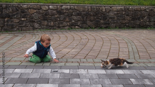 Photos Junge spielt mit kleiner Katze