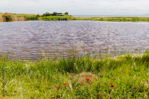 The Petite Camargue on the Etang de Berre in Provence photo