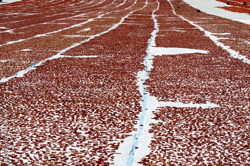 Dried Tomatoes photo