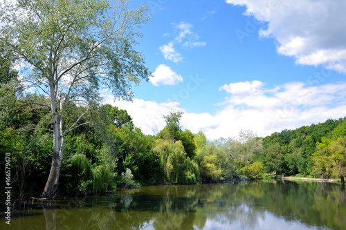 Beautiful natural landscape. Lake. Summer. Good mood. 