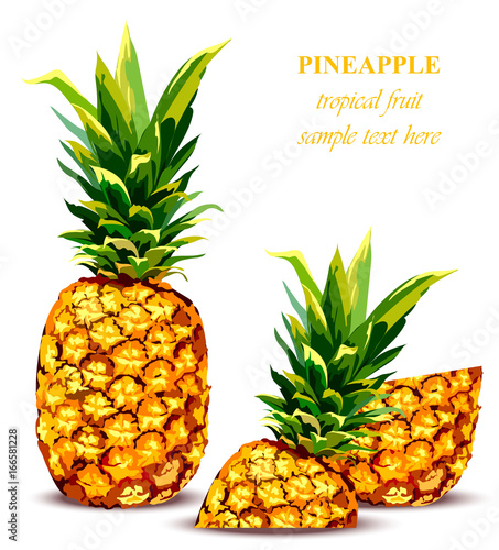 Pineapple fruit Tropical style card. Vector illustration