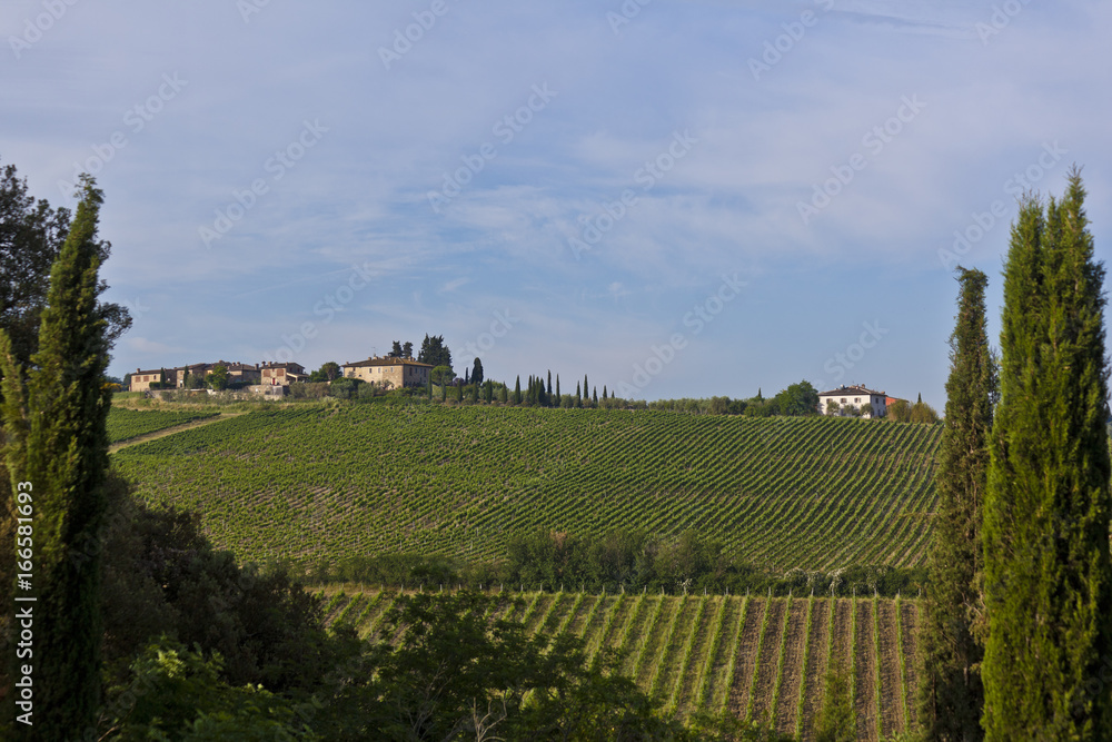 Toskana-Panorama, Terrassenblick in das Chianti-Gebiet