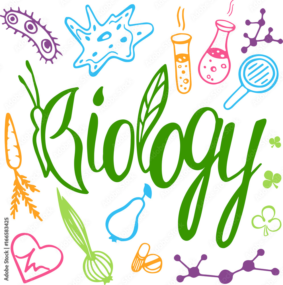 Vector illustration in doodle style for biology subject. Back to school