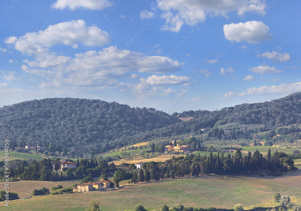 Fototapeta premium Toskana-Panorama, im Chianti-Gebiet bei Montespertoli