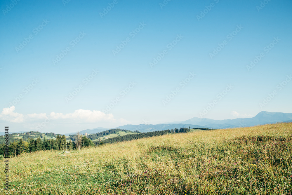 beautiful view on carpathian mountans