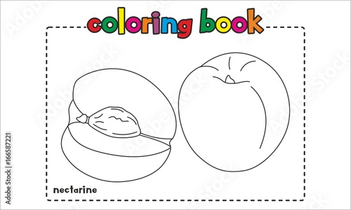 Nectarine Coloring Book