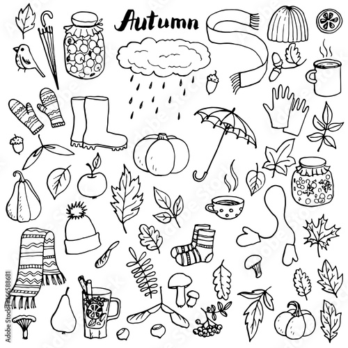 autumn doodle set