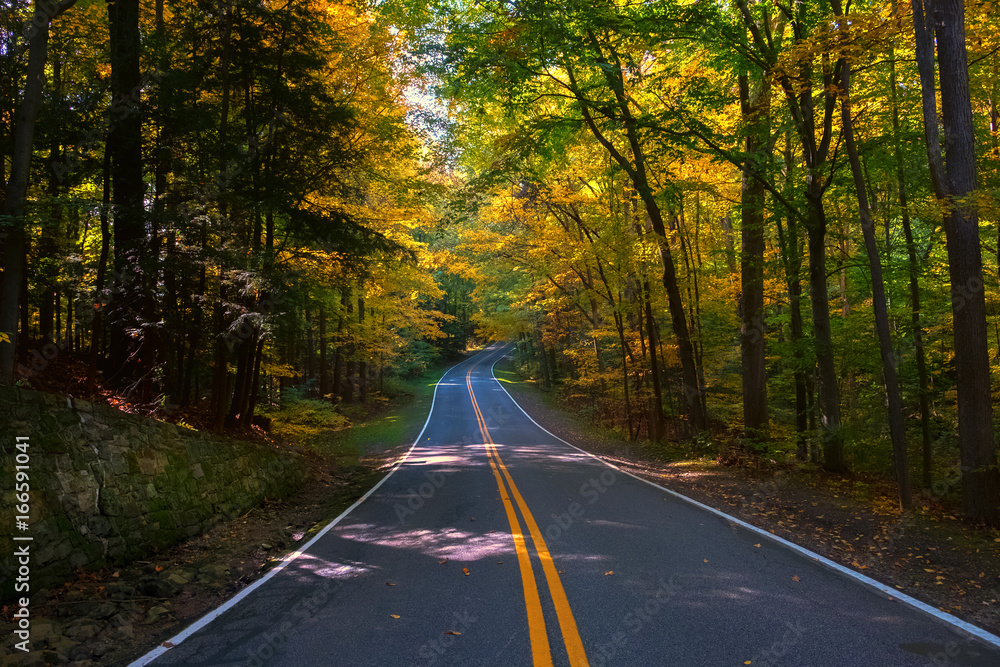 Fototapeta premium Long Road