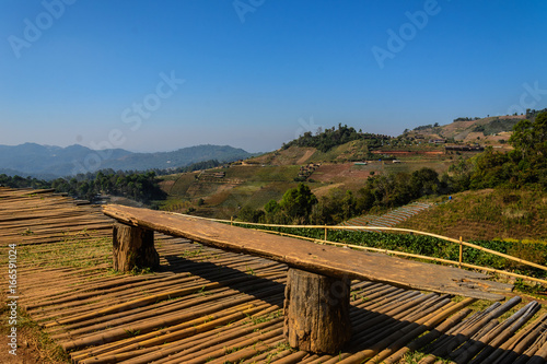 bamboo seating and viewpoint