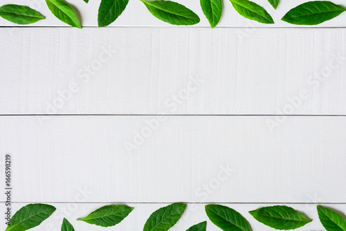 Flat lay green leaf on white wood background