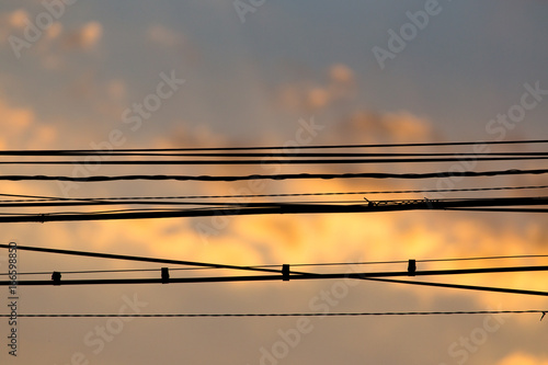 Electric wires at sunset as an background