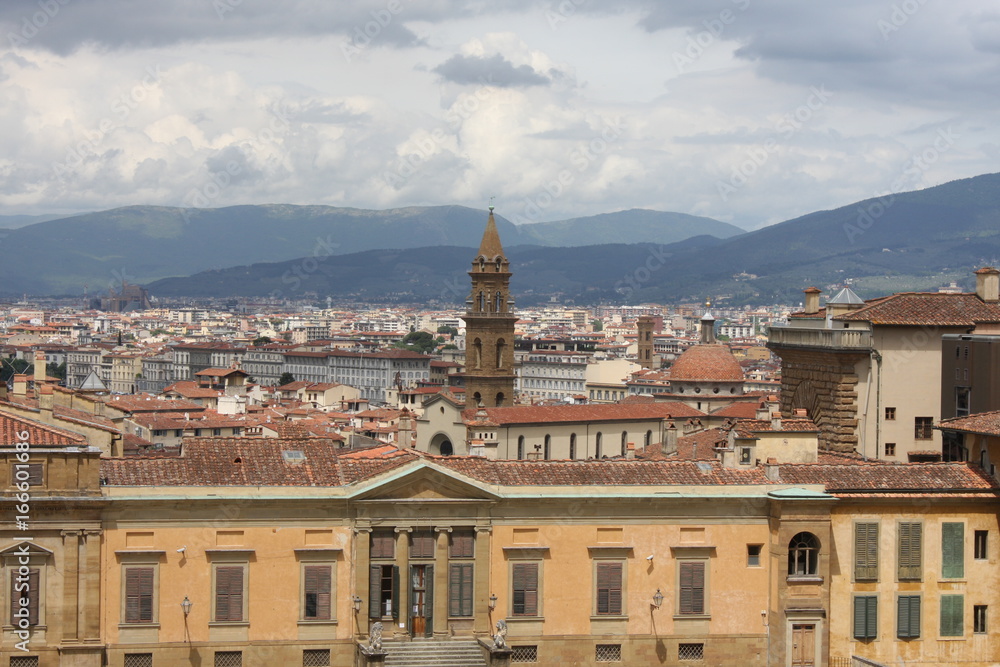 View of the Palazzo Pitti in Florence - Italy with some amasing details.