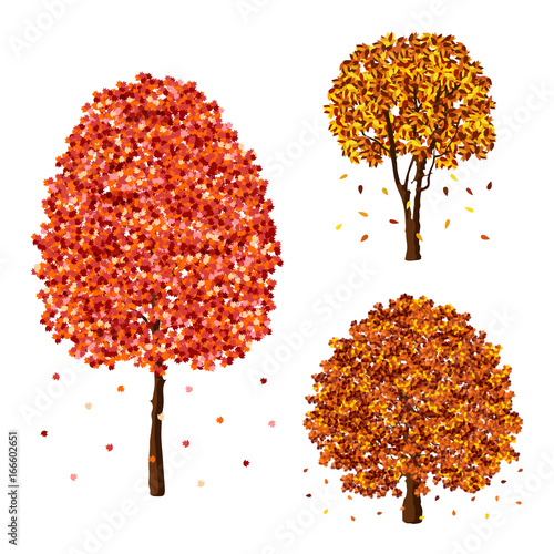 Vector autumn fall trees design element set