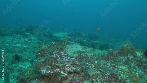 Wallpaper Mural POV, reef off coast of Indonesia Torontodigital.ca