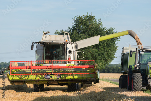 Ernte verladen