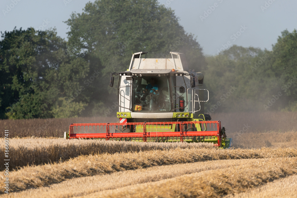 Fototapeta premium Mähdrescher