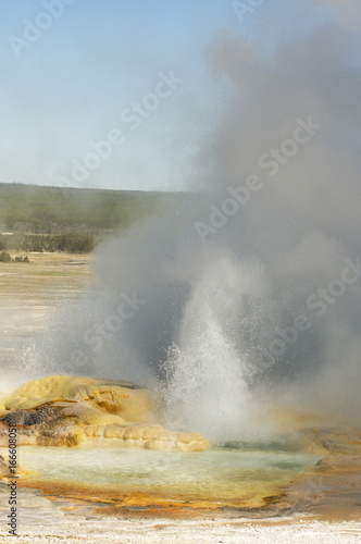 Spasm Geyer erupting and fuming in Fountain Paint Pots area in Yellowstone National Park, Wyoming
