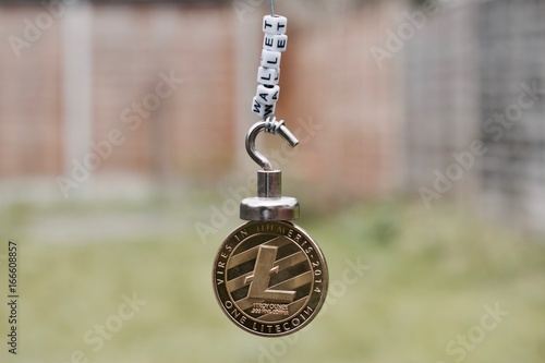 Cryptocurrency Litecoin Wallet photo