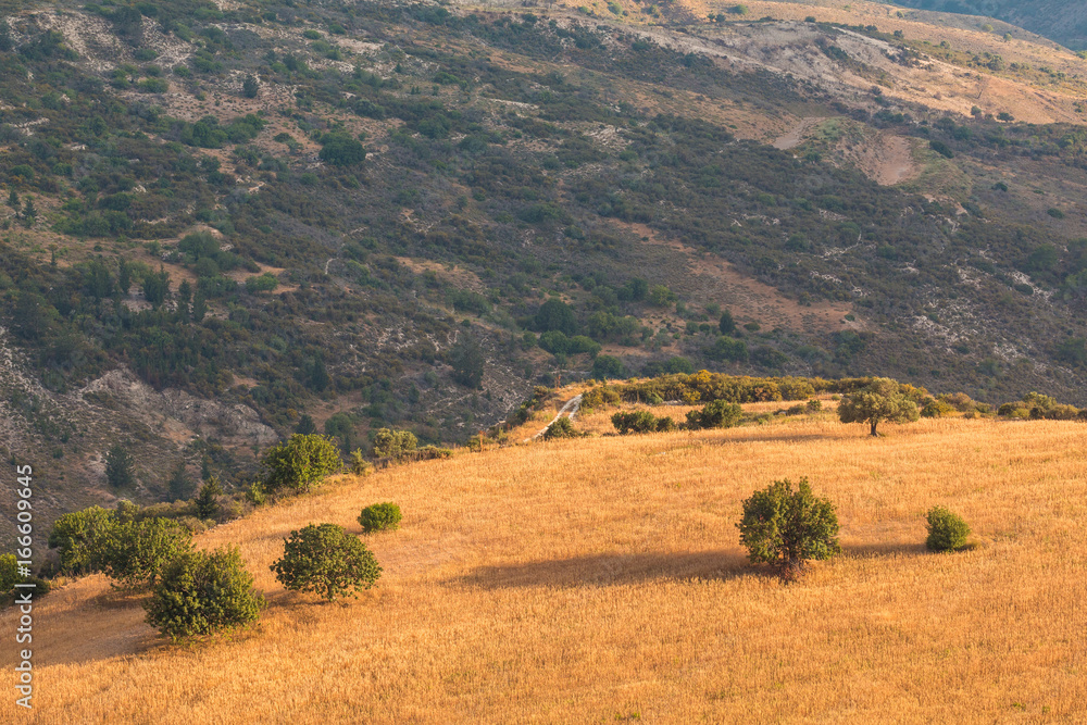 Sunny summer landscape of countryside. Hills in the interior of Cyprus.