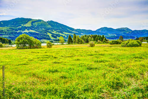 Landscape at lake Grüntensee