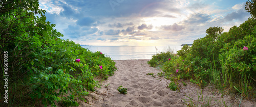 Fototapeta Naklejka Na Ścianę i Meble -  sea in sunset light. Lahemaa natural park coastal landscape with beautiful sky