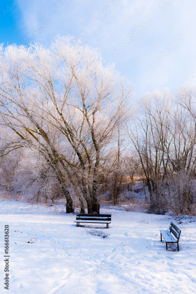 Beautiful winter scene with two benches Beautiful winter scene with two benches