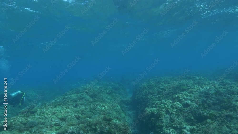 Diver swims in shallow Indian Ocean, POV Diver swims in shallow Indian Ocean, POV