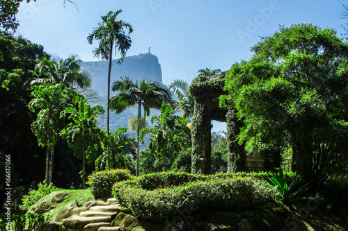 Canvas-taulu Jardim Botanico, Rio de Janeiro