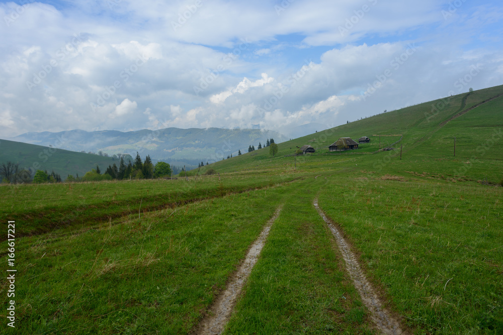 Road in the mountains
