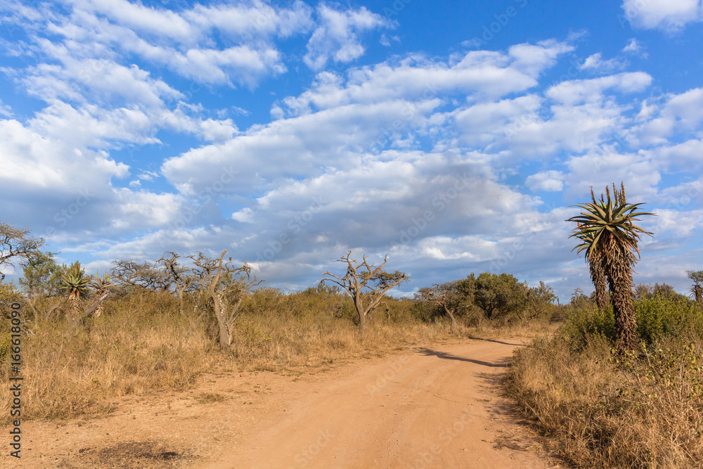 Scenic African Wilderness Wildlife Landscape