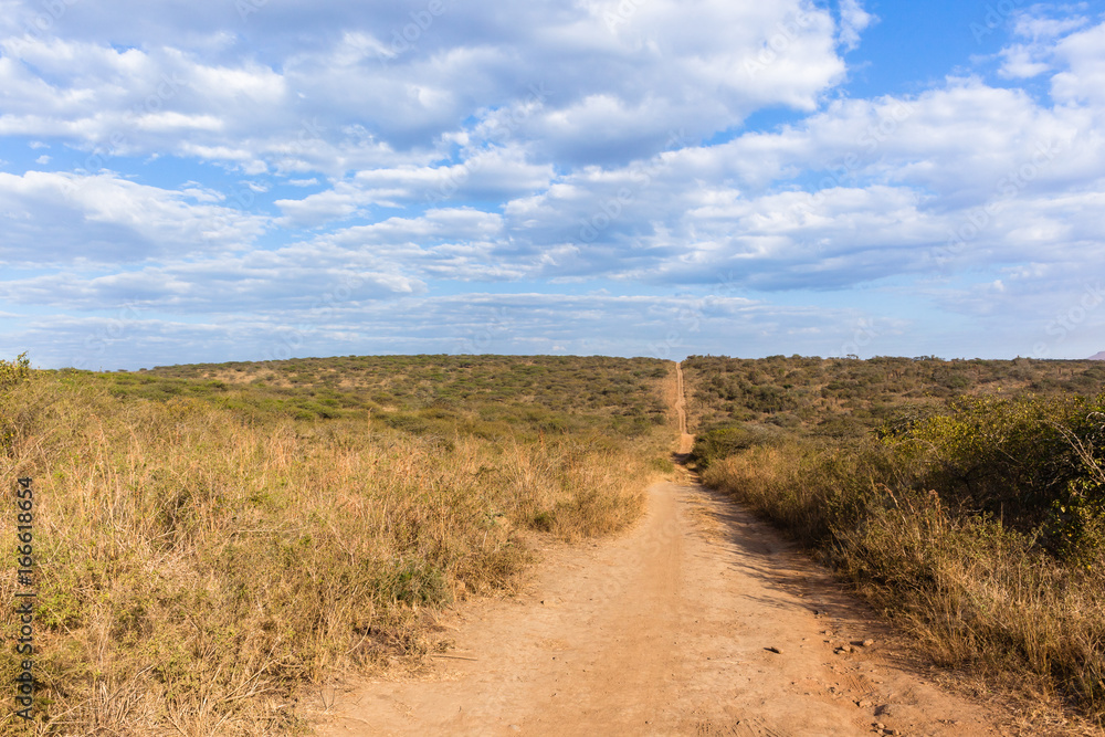 Dirt Road Wildlife Safari Landscape Dirt Road Wildlife Safari Landscape