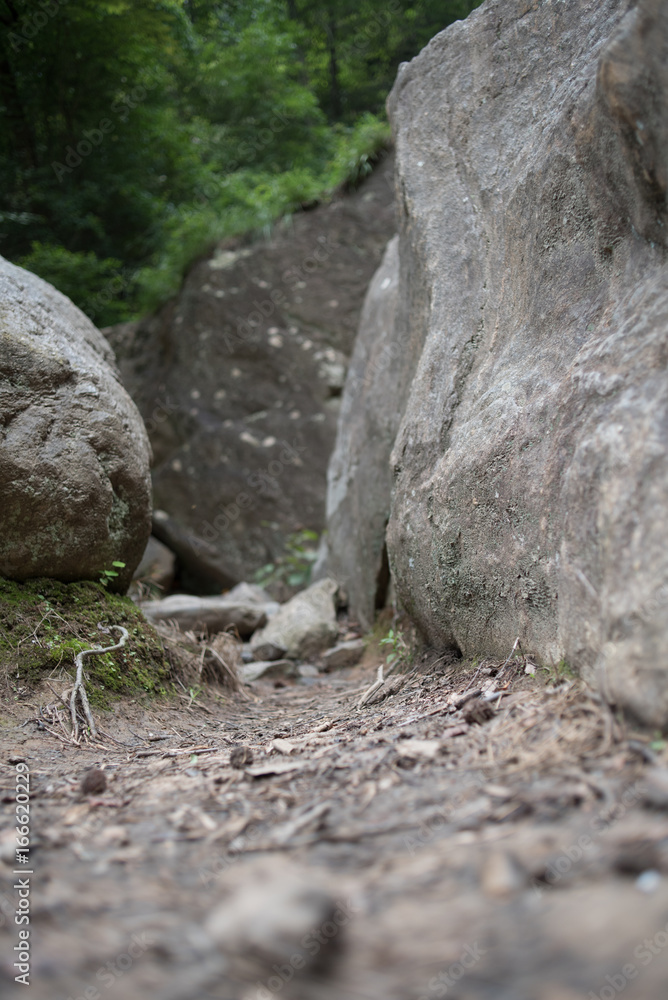 Rocky Path Rocky Path