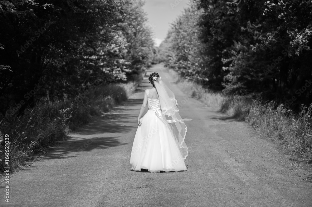 Beautiful bride in wedding dress Beautiful bride in wedding dress