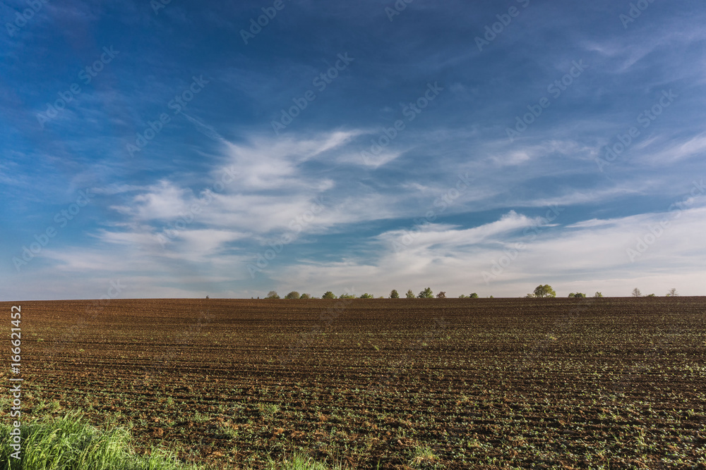 ein bestelltes Feld im Frühling ein bestelltes Feld im Frühling