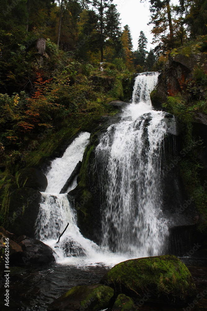 Fototapeta premium Wasserfall