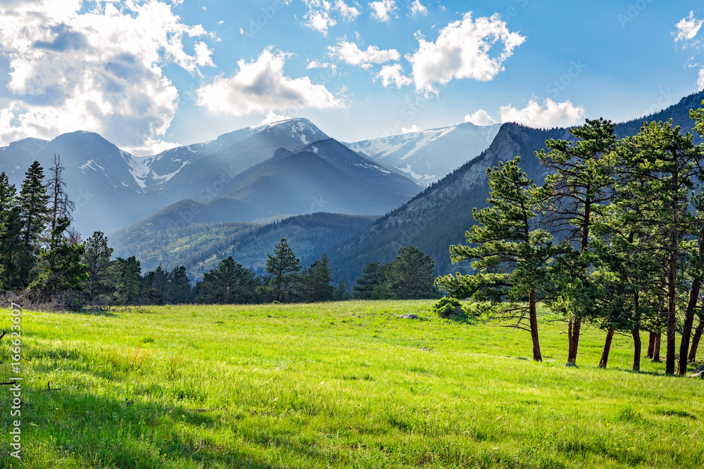 Naklejka premium Łąka w Rocky Mountain National Park