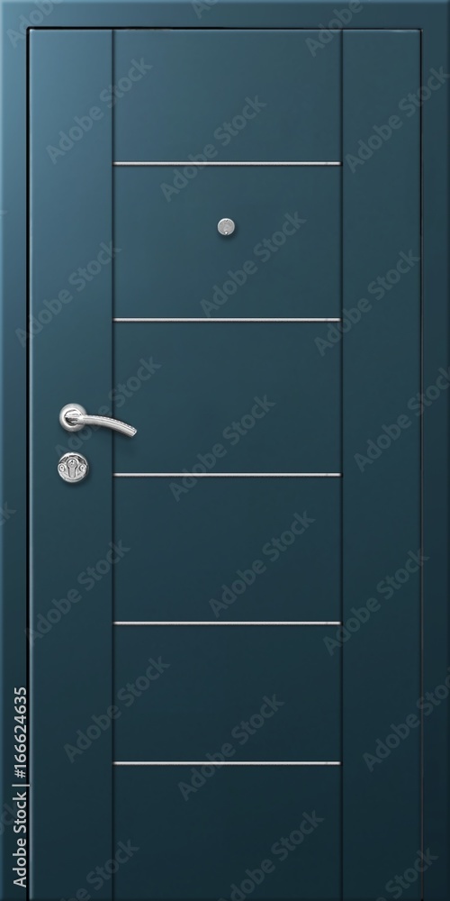 Entrance door (metal door) Entrance door (metal door)