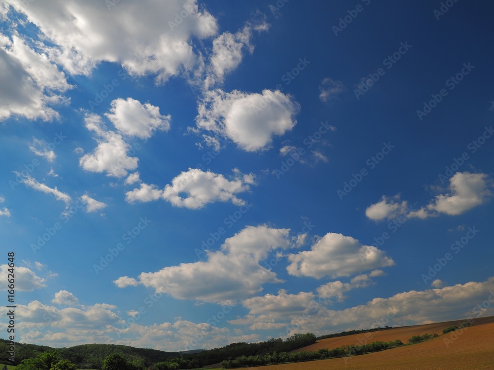 Summer sky above the head, South Moravia, Czech republic